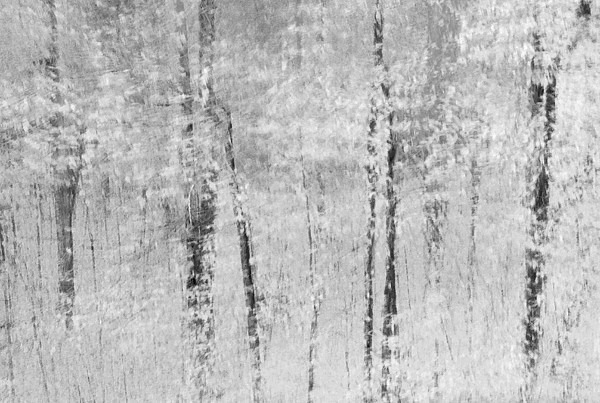 week 32 - 52 week project: Impressions