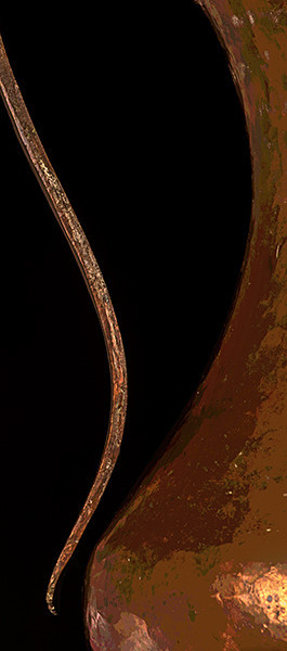 week 5 - 52 week project: Fragments