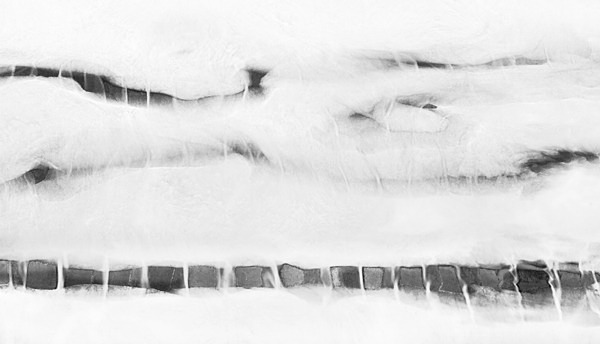 week 40 - 52 week project: Impressions
