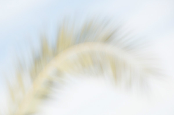 theme 1 week 4: NOTHING IN FOCUS - 2016: 12 Months 12 themes