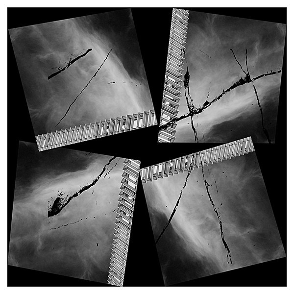 week 45 - 52 Weeks Project: Synthesis
