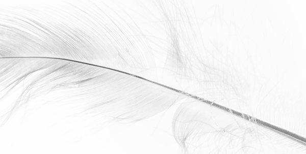 theme 5 week 3: WHISPERS - 2015 12 Months: 12 Themes