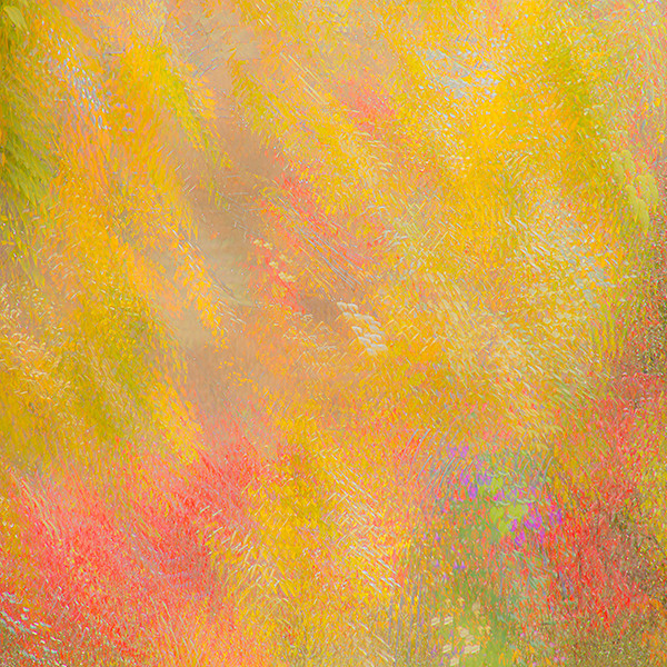 week 43: Lively colour - 52 week project: Colour