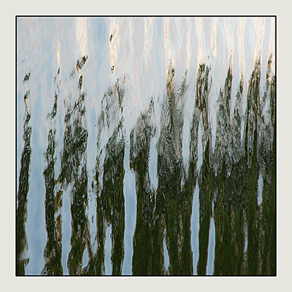 theme 10 week 2: VISUAL RHYTHM - 2016: 12 Months 12 themes