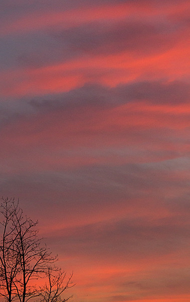 week 44: Lively colour - 52 week project: Colour