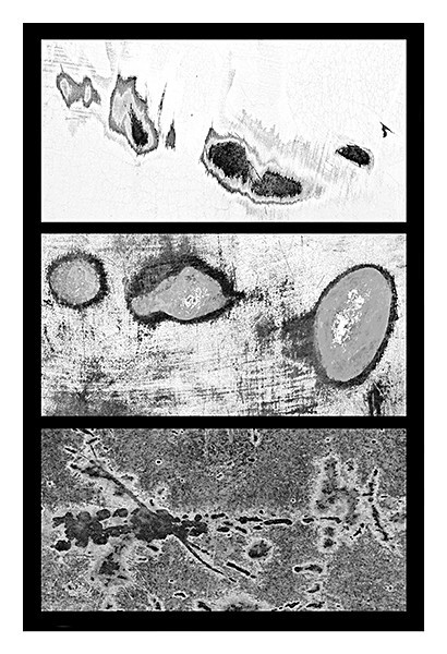 week 13 - 52 Weeks Project: Synthesis