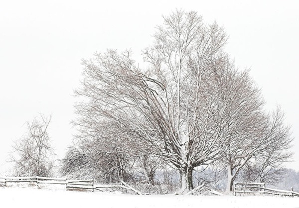 S038 - SEASONS