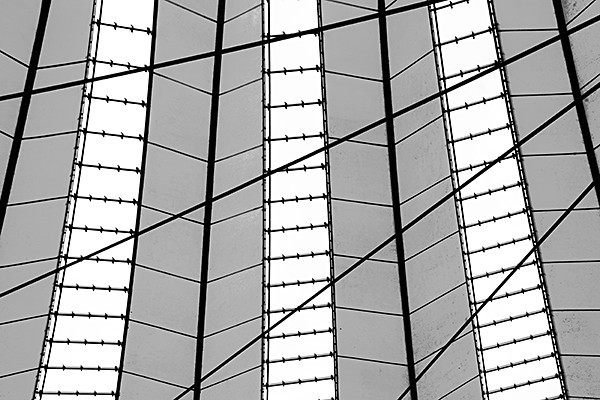 theme 11 week 3: PATTERNS/REPETITIONS - 2015 12 Months: 12 Themes