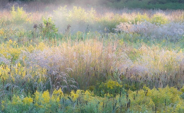 P677 - SEASONS