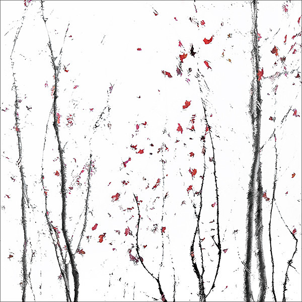 IM0598 - SEASONS