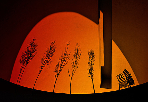 week 12 - 52 Weeks Project: Synthesis