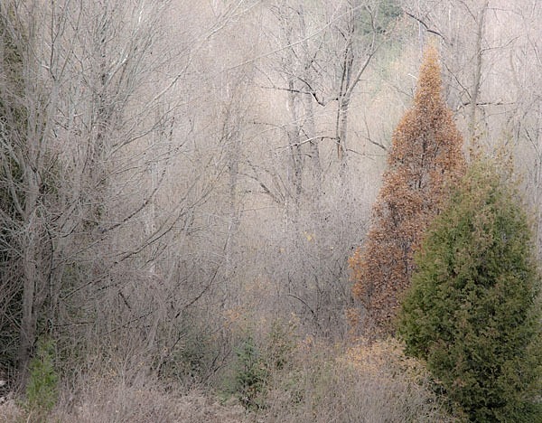 P585 - SEASONS