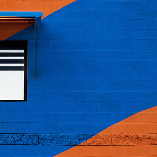 week 41: Bold and Bright - 52 week project: Colour