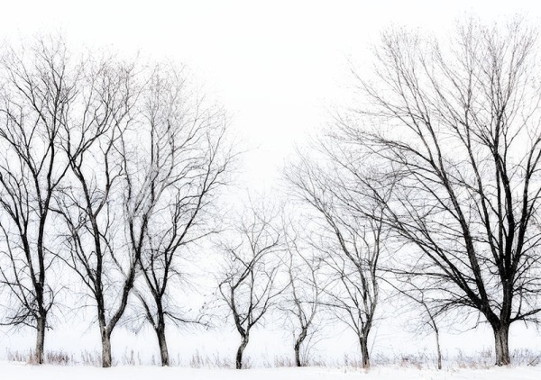 P225 - SEASONS