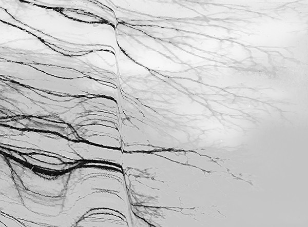  - REFLECTIONS & SHADOWS