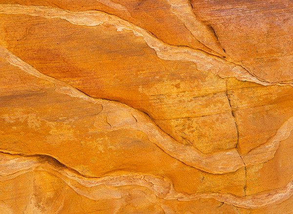 Yellow Rock wall, Valley of Fire, NV - ABSTRACTS IN NATURE