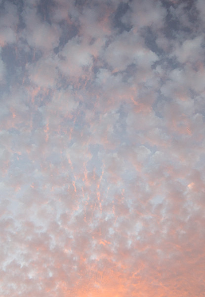 AD1132 - ABSTRACTS IN NATURE