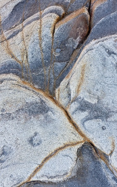 AD310 - ABSTRACTS IN NATURE
