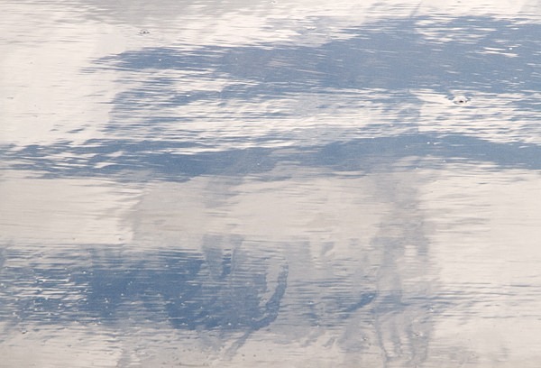 AD821 - ABSTRACTS IN NATURE