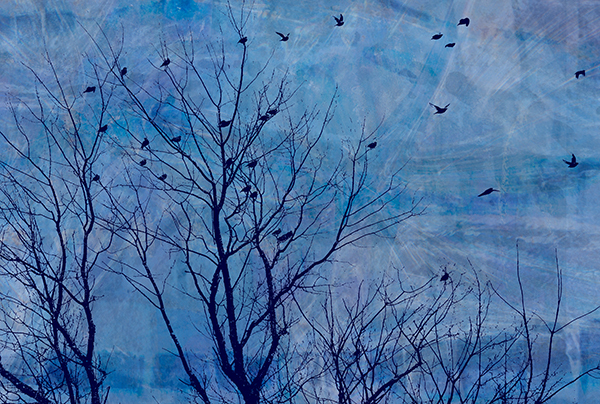 week 50: mostly one colour - 52 week project: Colour