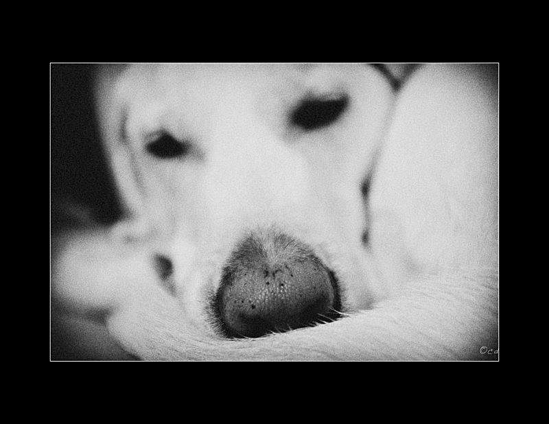  - Close Up