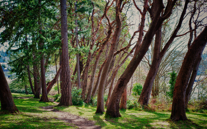  - Random Nature