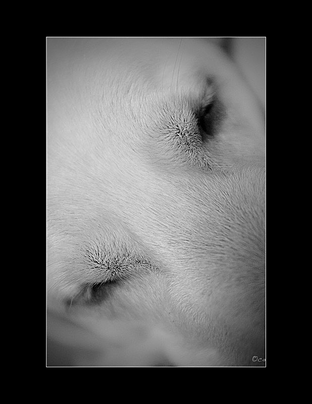  - Close Up