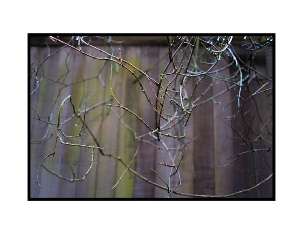  - Random Nature