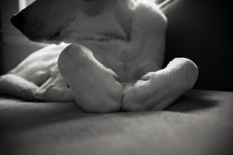  - Black & White
