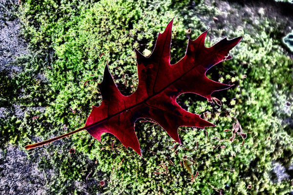  - Random Nature