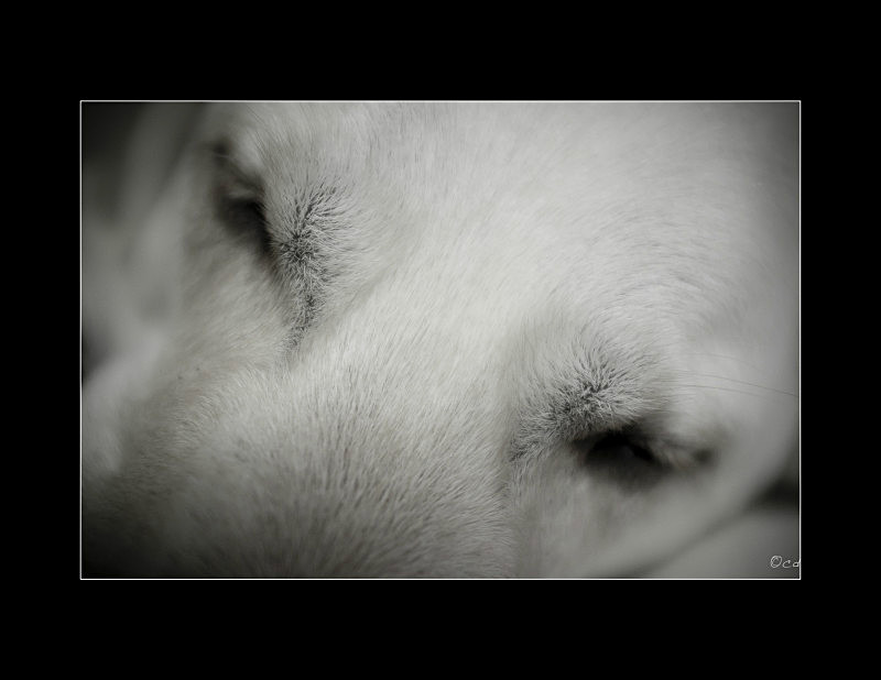  - Close Up