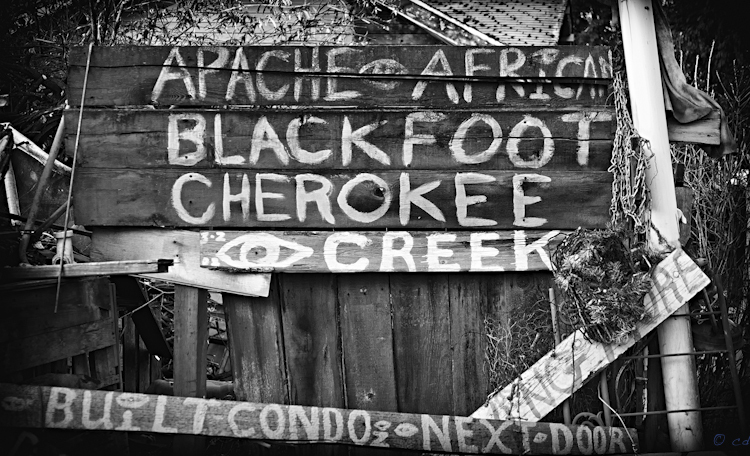  - Black & White