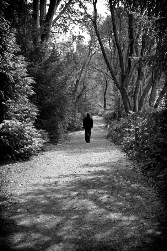  - Black & White