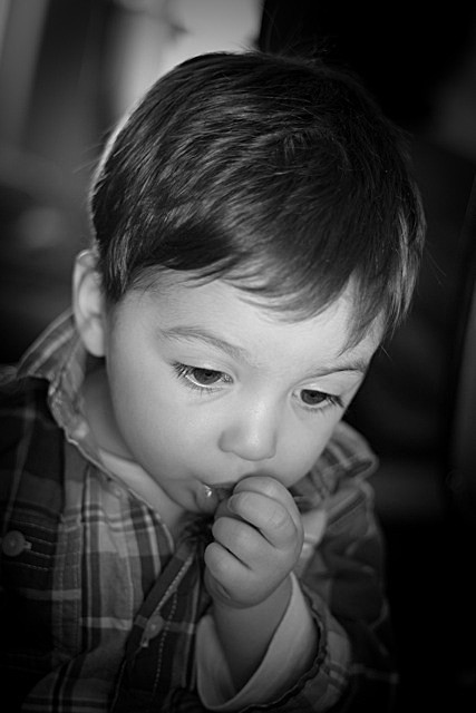  - Portraits