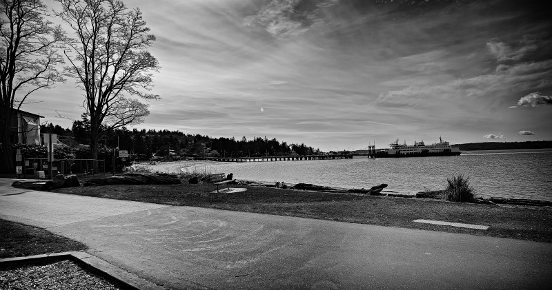  - Black & White