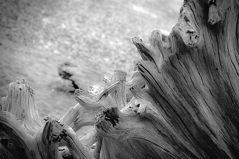  - Random Nature