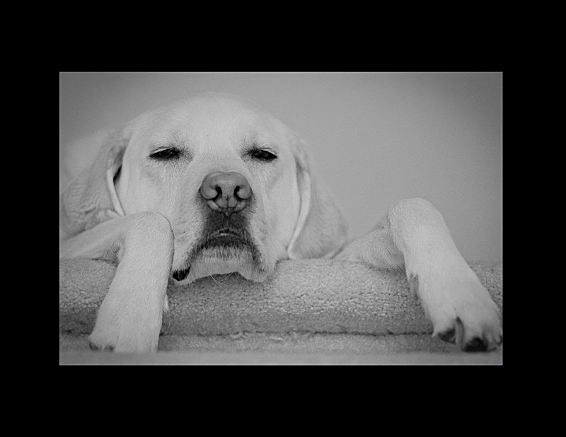  - Black & White