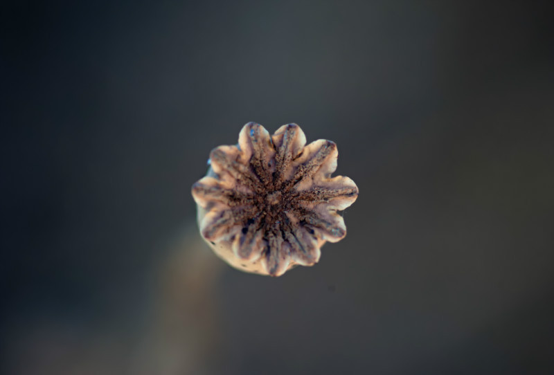  - Random Nature