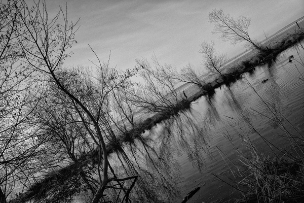  - Black & White