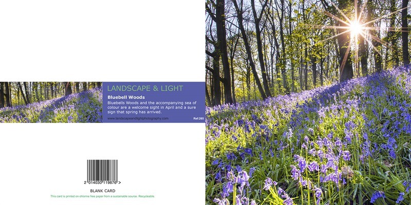 Ref 265 Bluebell Wood - Yorkshire Greetings Cards
