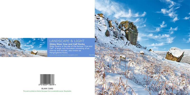 Ref 164 cow and calf snow scene - Yorkshire Greetings Cards