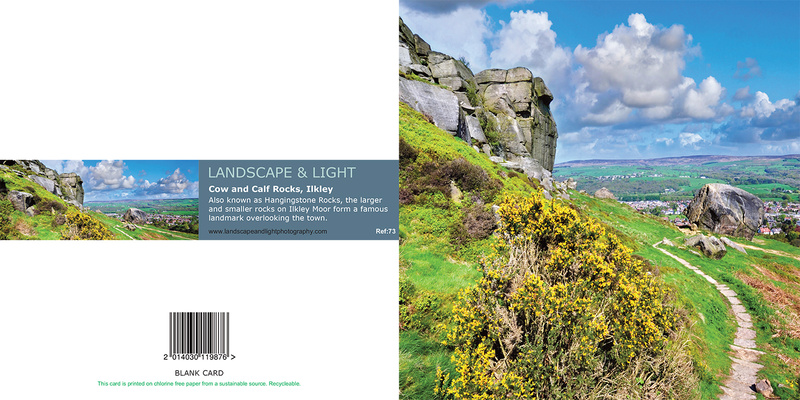 Ref 73 Cow and Calf - Yorkshire Greetings Cards