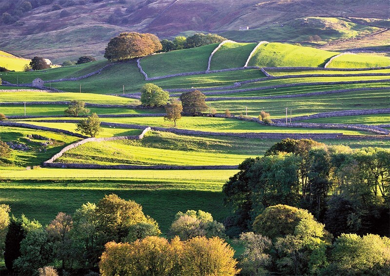 Yorkshire Postcards