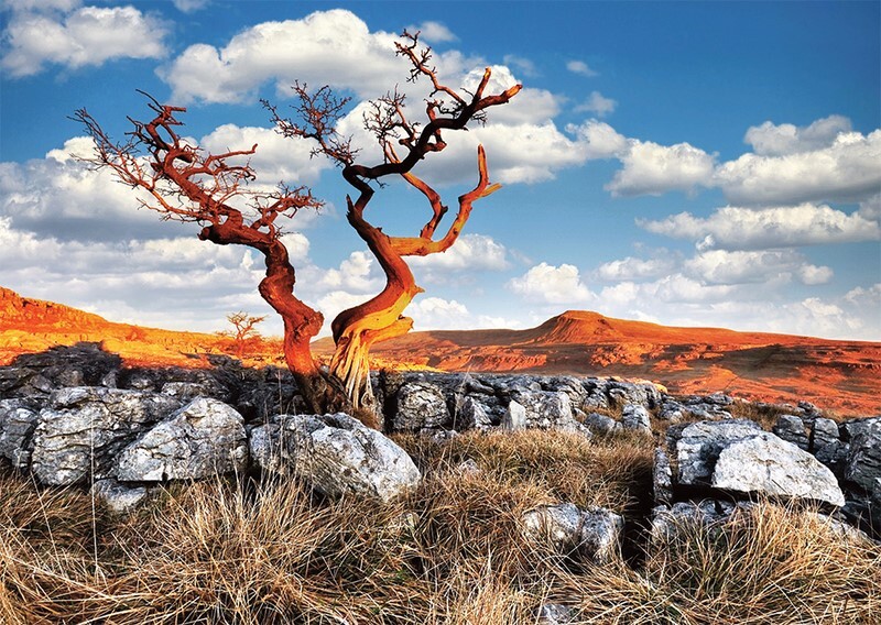 Yorkshire Postcards