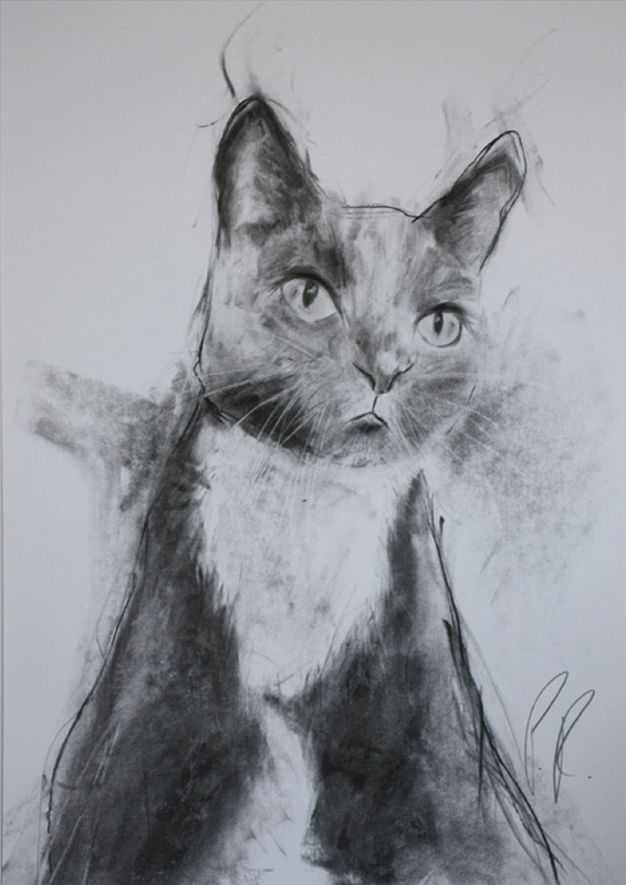 'christopher' - portrait commissions