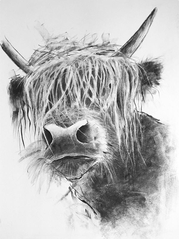 'HIGHLAND 2' - open edition prints
