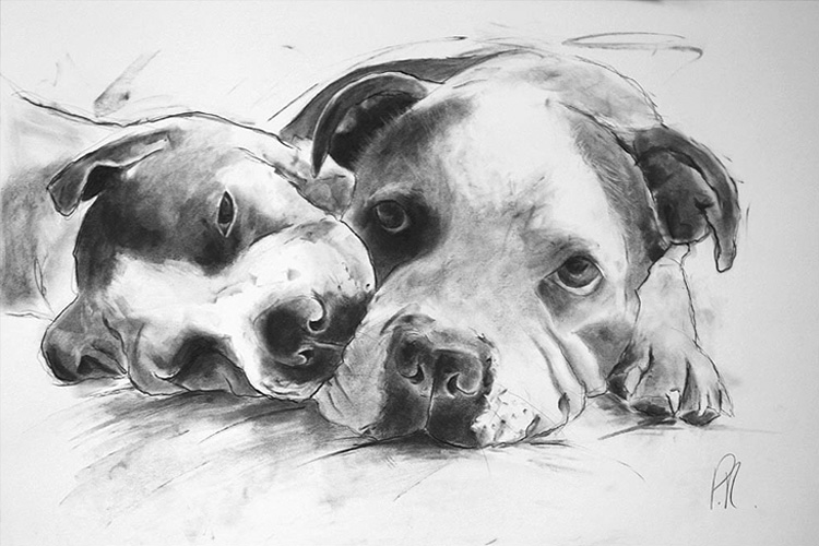'taffy and pearl' - portrait commissions