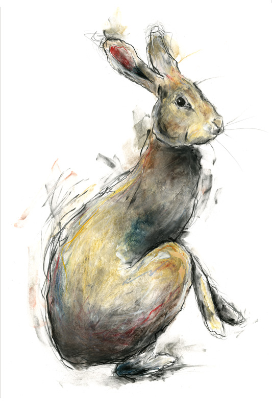 'HARE' - WORKS IN COLOUR