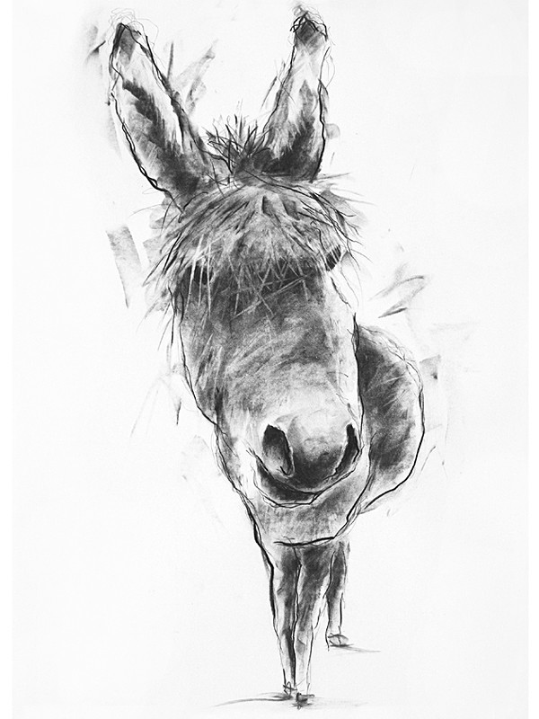 'DONKEY' - open edition prints