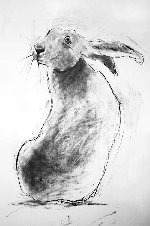 'HARE TURNING' - open edition prints